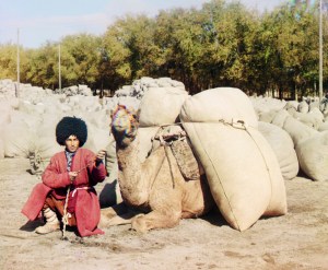 Turkmen man with camel, early 20th century (Sergey Prokudin-Gorsky)